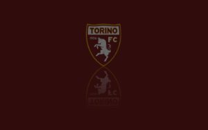 Hisense è Official TV Supplier del Torino Football Club