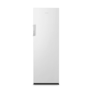 Congelatore FV245