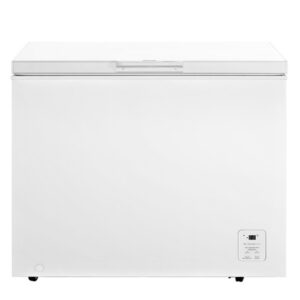 Congelatore a pozzo FC319