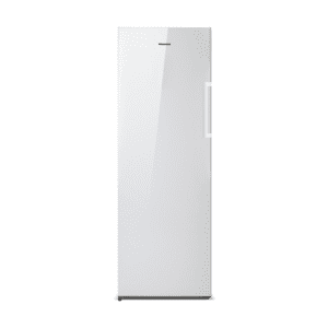 Congelatore FV306