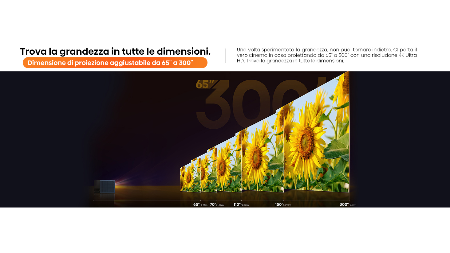 65-300 Adjustable Projection Size