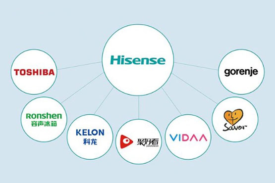 Il 28 febbraio 2018, Hisense prende il controllo della Toshiba Visual Solutions Corporation (TVS) e acquisisce Gorenje, produttore di elettrodomestici in Slovenia.